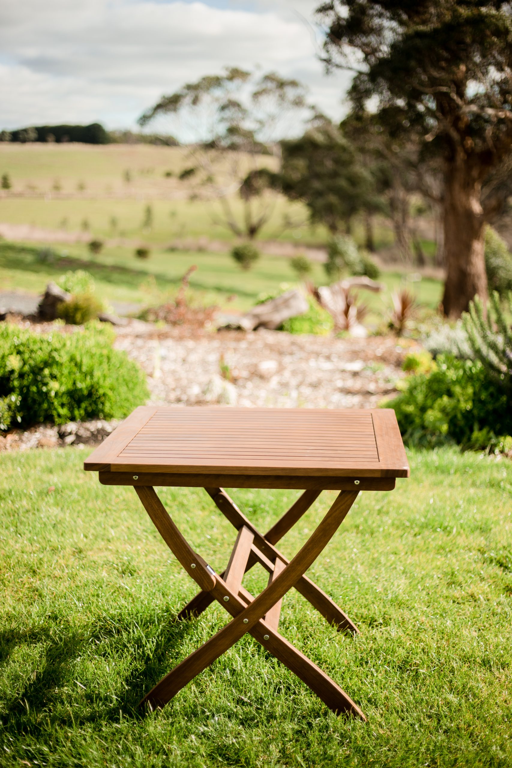 Maculata Folding Arm Chair Qfurniture