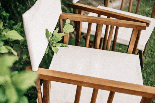 Set of 2 director chairs