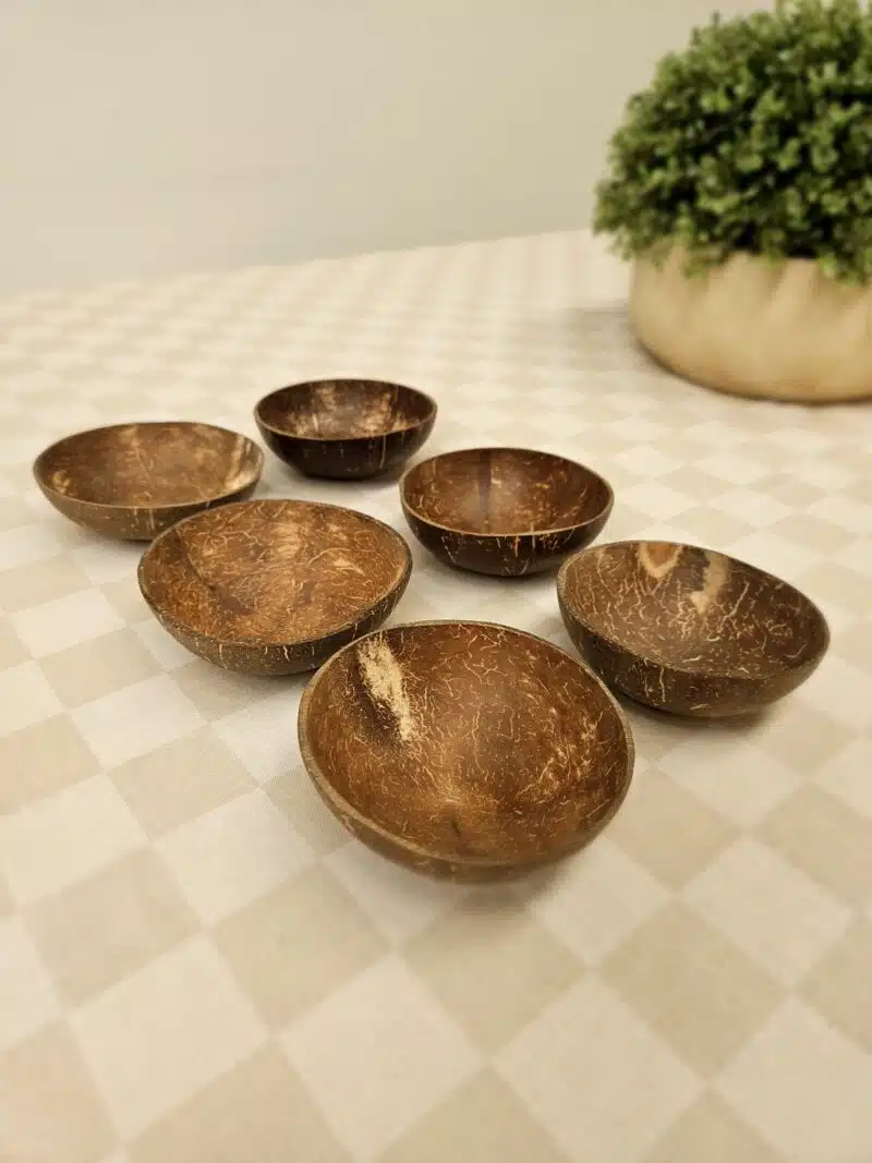 Coconut Dipping Bowls Set of 6 - Image 5