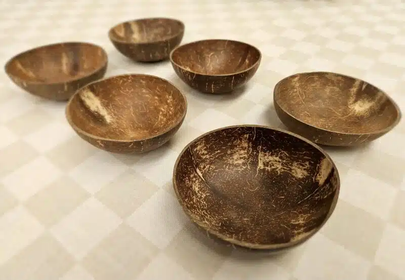 Coconut Dipping Bowls Set of 6 - Image 3