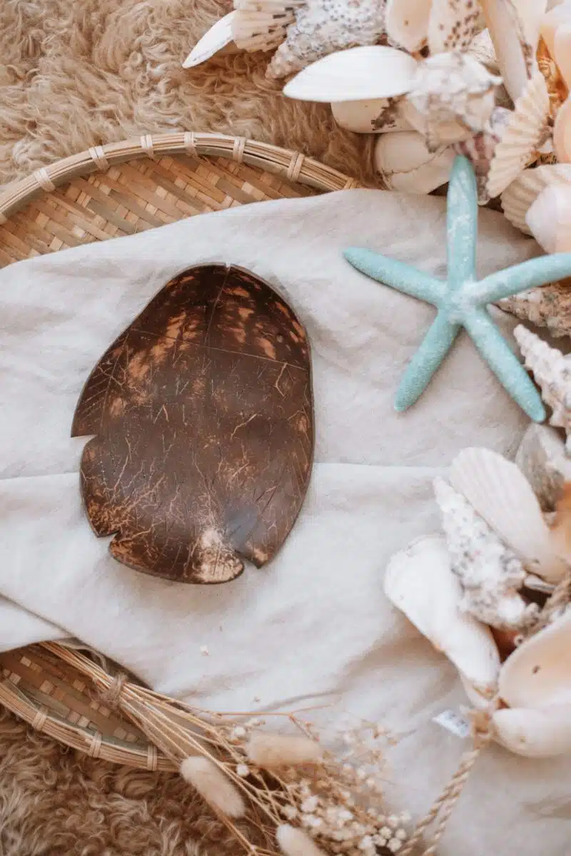 Coconut Fish Tray - Image 5