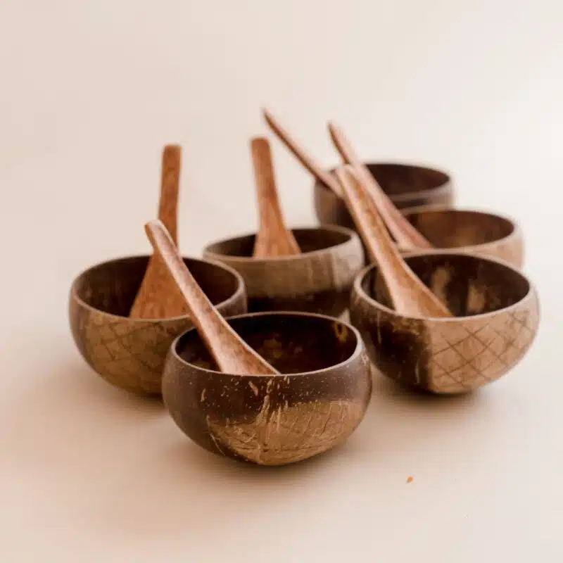 Rice Bowl and Spoon Set - Image 4