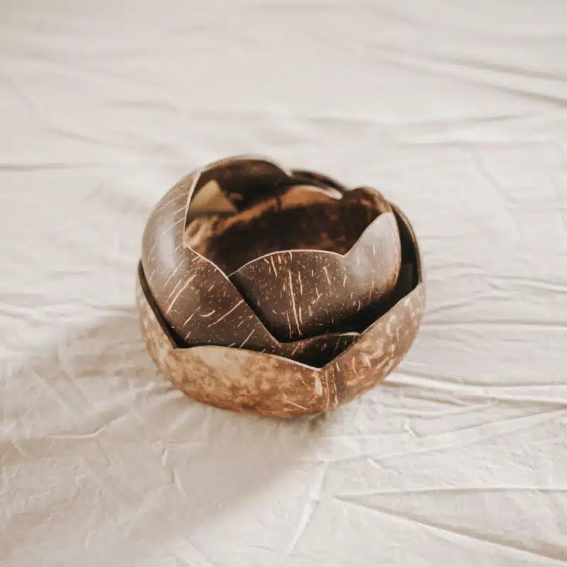Coconut Flower Bowl Set of 3 - Image 3