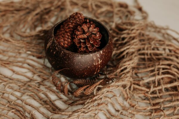 Coconut Flower Vase