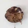 Coconut Fish Tray