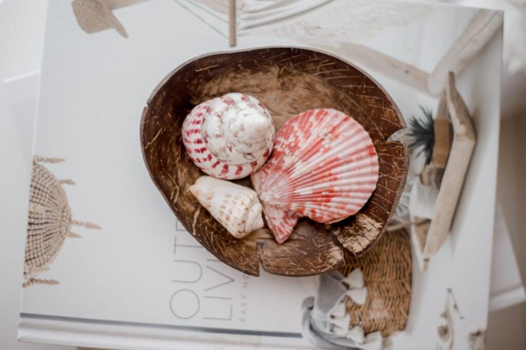 Coconut Fish Tray - Image 2