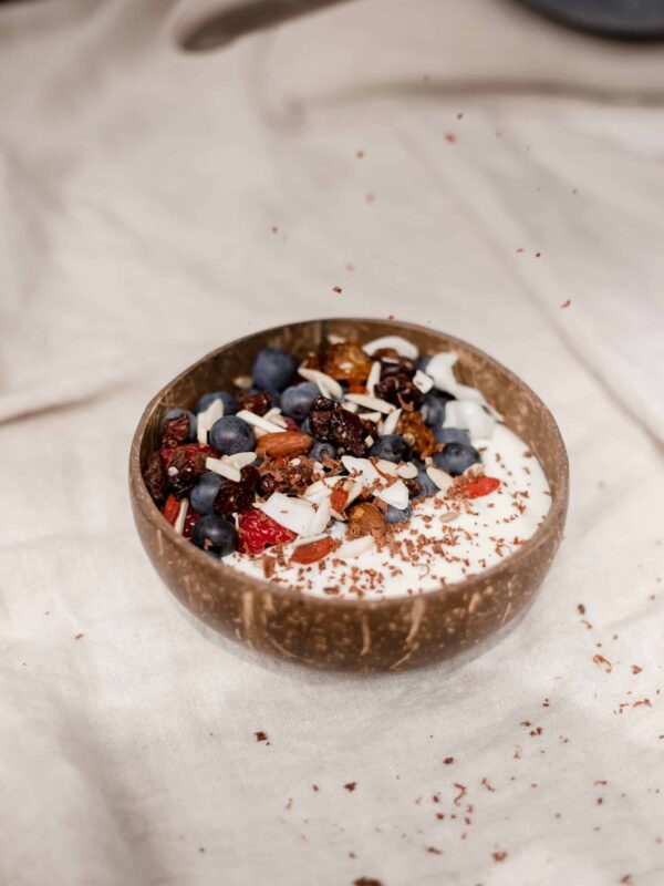 Coconut Bowl Large