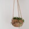 Coconut wave hanging pot