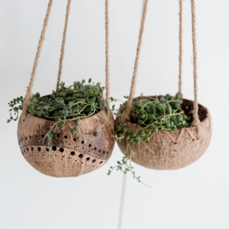 Coconut wave hanging pot - Image 2