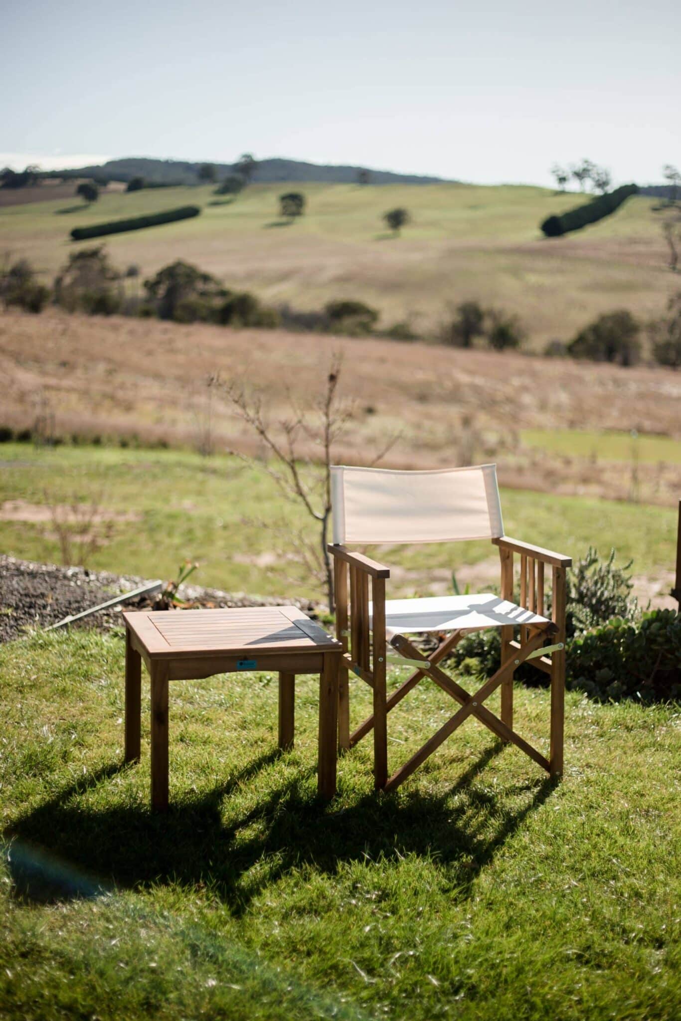 Director Chair and Everton Side Table - Image 3