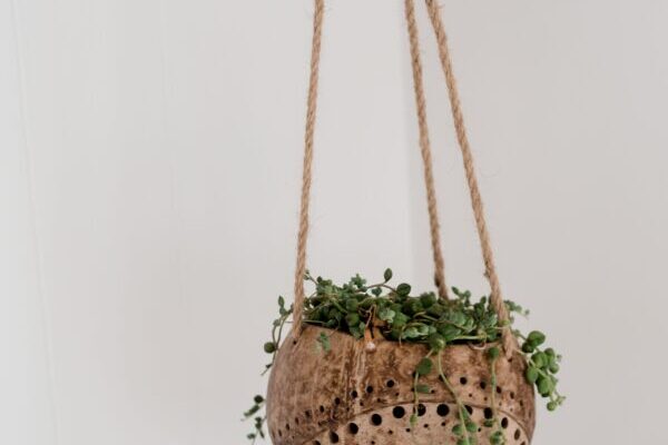 Coconut wave hanging pot