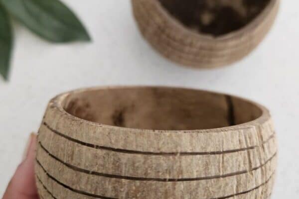 Horizon Pattern Coconut Bowl (Set of 2)