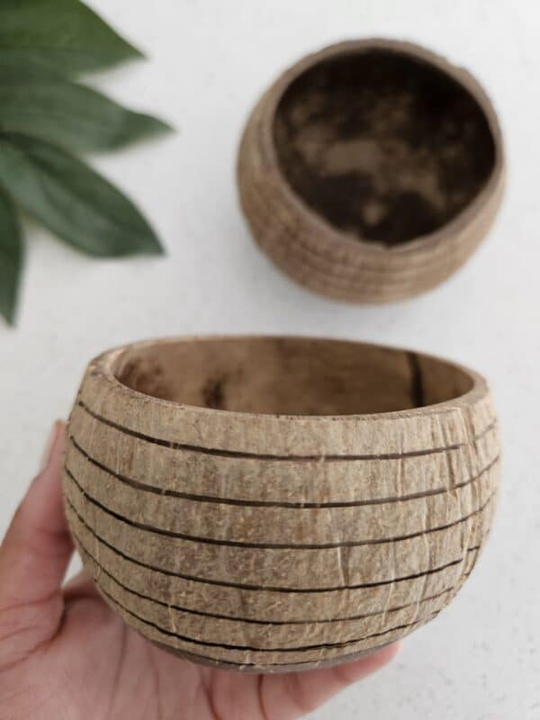 Horizon Pattern Coconut Bowl (Set of 2)
