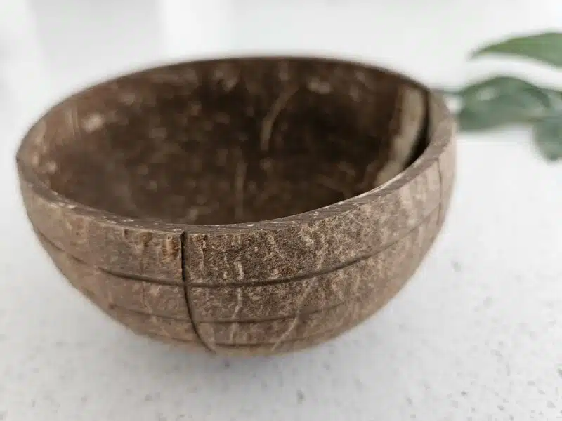 Check Pattern Coconut Bowl (Set of 2) - Image 3