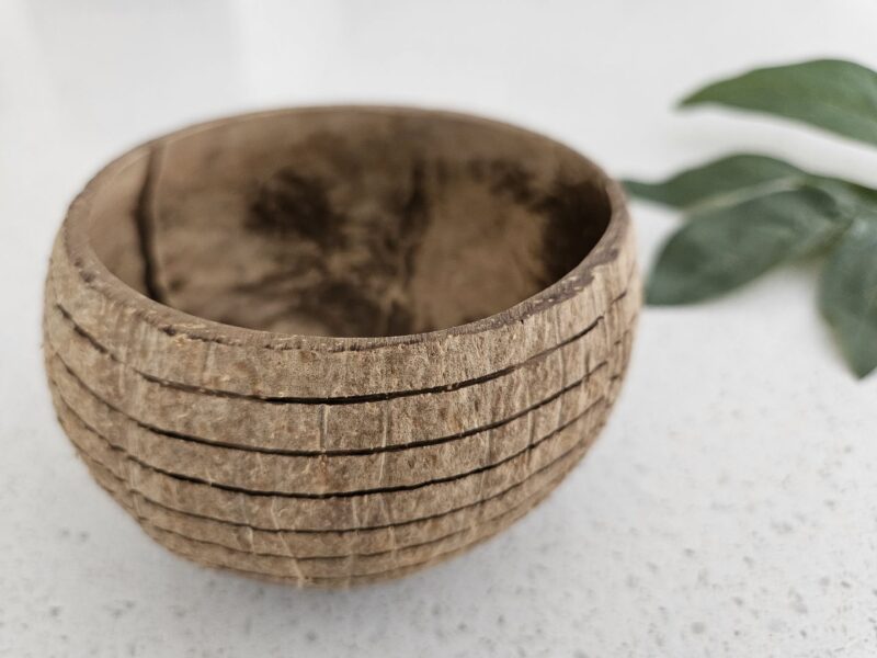 Horizon Pattern Coconut Bowl (Set of 2) - Image 3