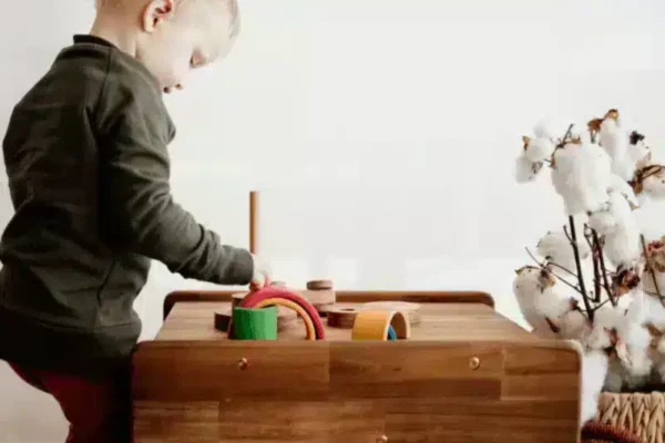 3 in 1 Toddler Chair