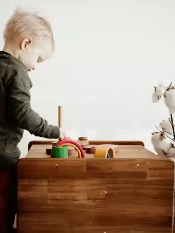 3 in 1 Toddler Chair
