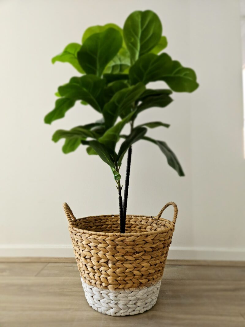 Natural Medium Basket - Image 4
