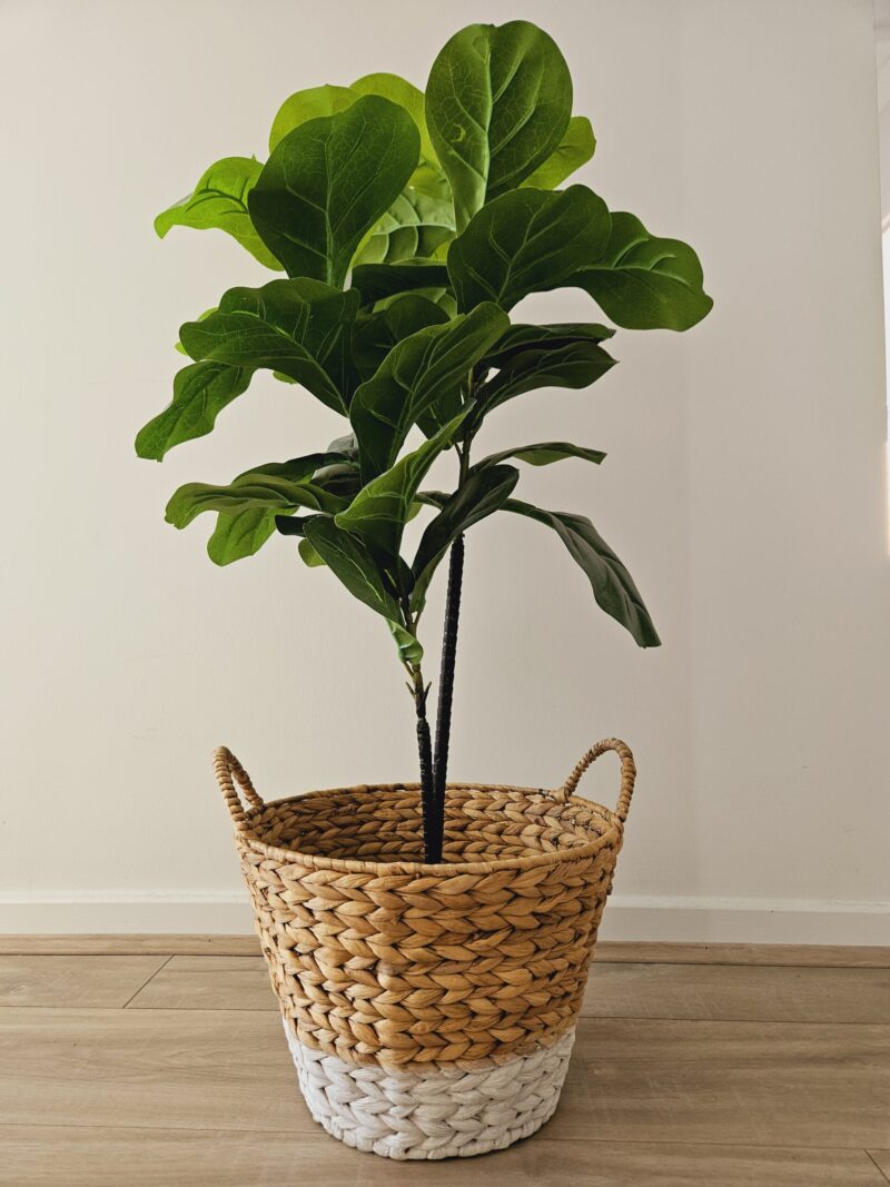Natural Medium Basket - Image 2