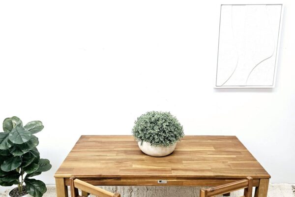 Hardwood Rectangular Table with 2 Standard Chairs