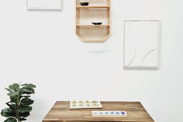 Study Desk and 2 Standard Chairs