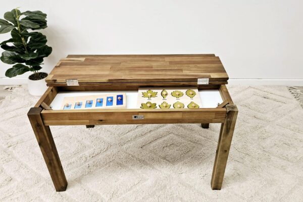 Kids Study Desk with Storage